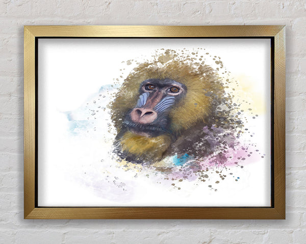 Mandrill Watercolour Splash Framed Print