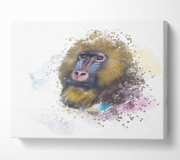  A Canvas Print of Mandrill Watercolour Splash Canvas Print