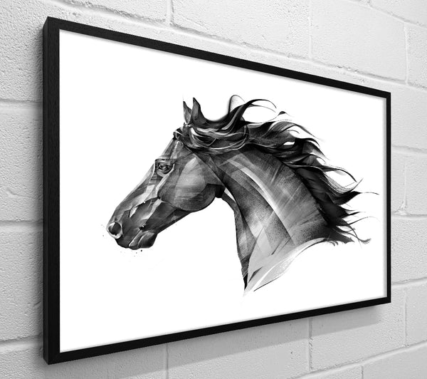 Black Horse Flow