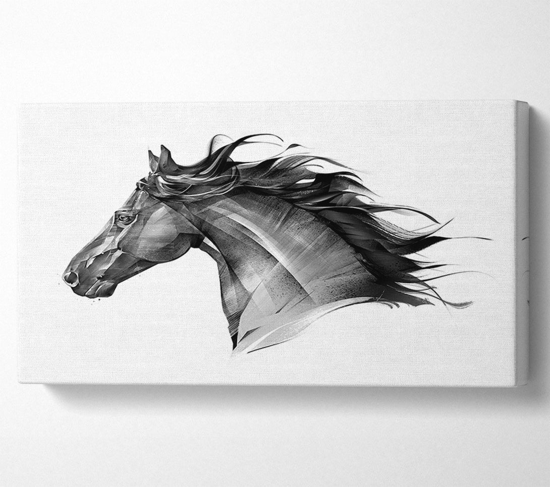  A Canvas Print of Black Horse Flow Canvas Wall Art
