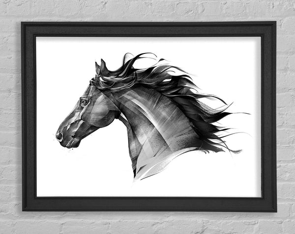Black Horse Flow Framed Print