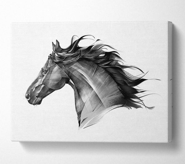  A Canvas Print of Black Horse Flow Canvas Wall Art