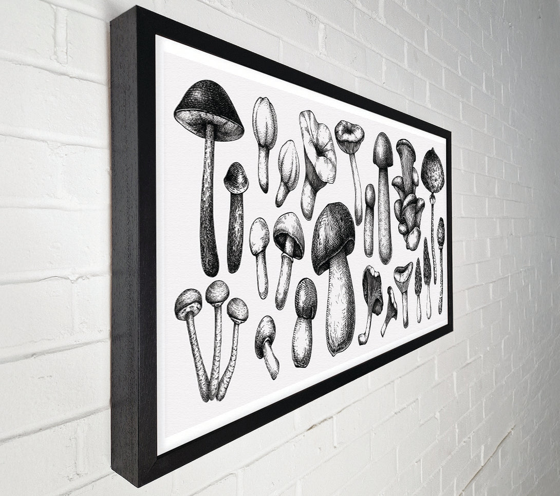  A Canvas Print of The Toadstool Collection Canvas Wall Art