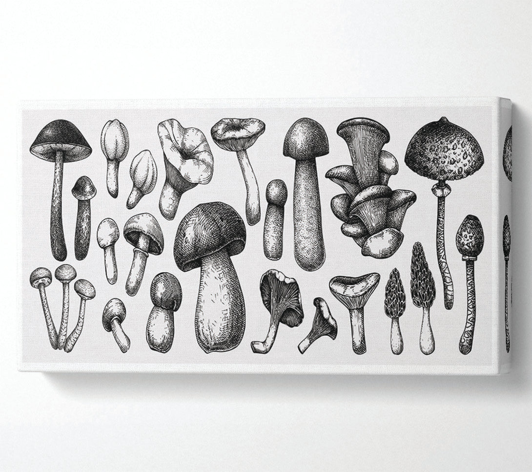  A Canvas Print of The Toadstool Collection Canvas Wall Art