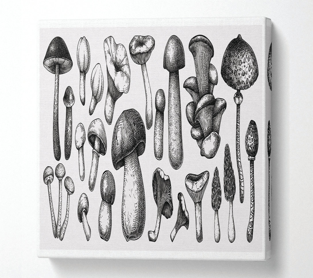  A Canvas Print of The Toadstool Collection Canvas Wall Art