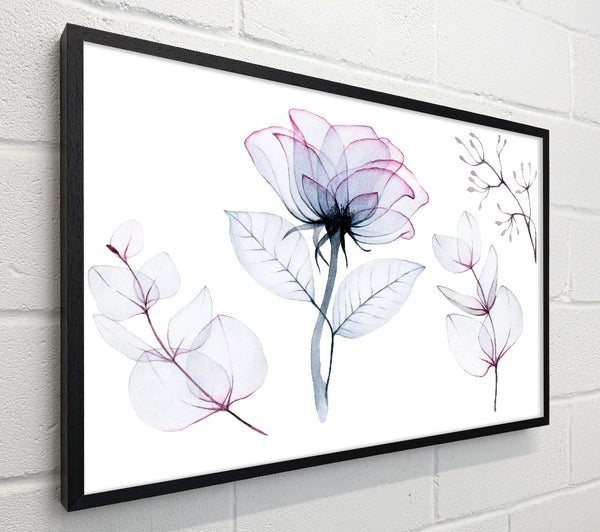 Transparency Flowers
