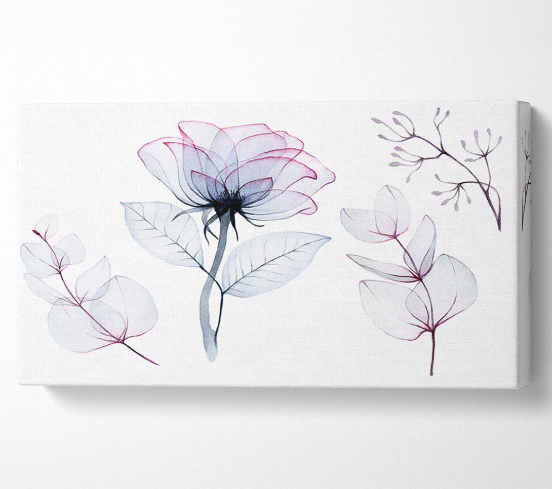  A Canvas Print of Transparency Flowers Canvas Print