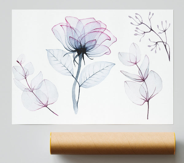 Transparency Flowers Poster