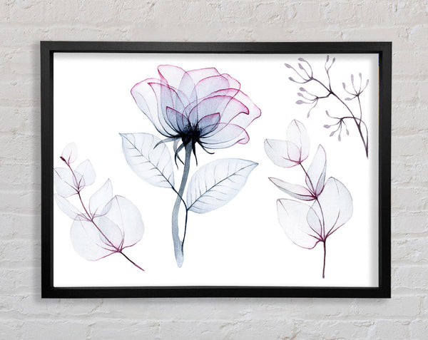 Transparency Flowers Framed Print