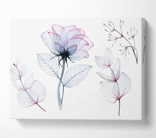 A Canvas Print of Transparency Flowers Canvas Print