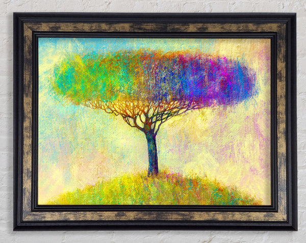 The Yellow To Blue Tree Framed Print