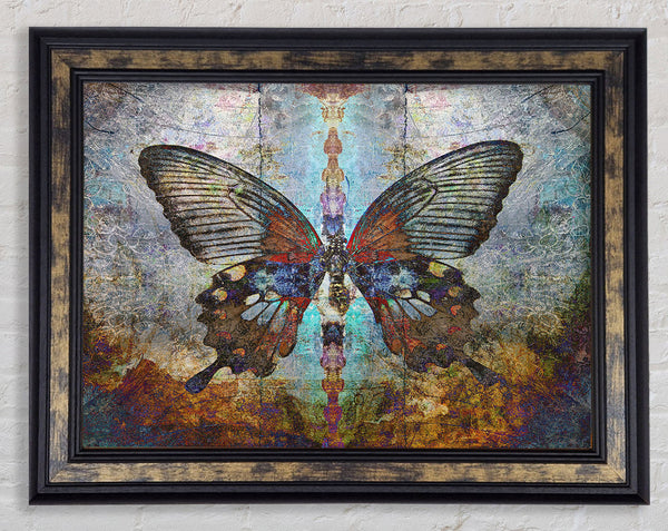 The Eroded Butterfly Framed Print