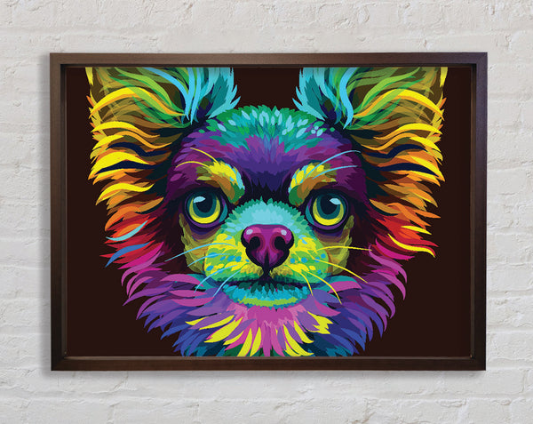 Chihuahua Stare Head Framed Print