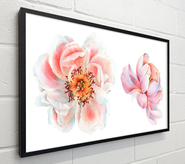 Two Beautiful Pink Peach Flowers