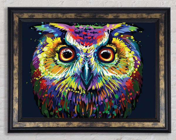 The Colourful Vivid Owl Framed Print