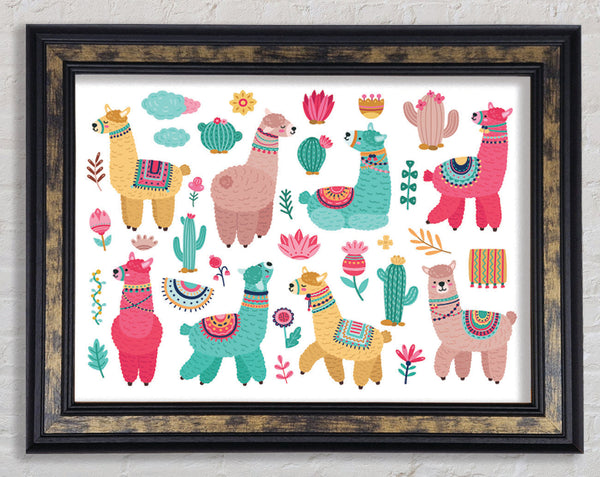 The Alpaca Collection Framed Print