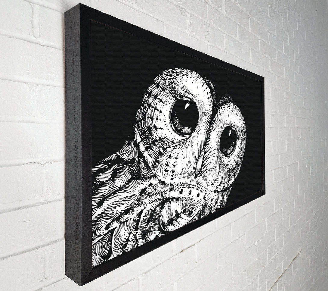  A Canvas Print of The Big Eyed Owl Canvas Art