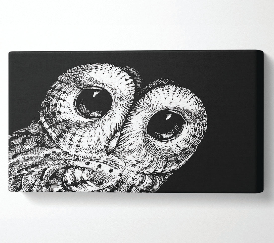  A Canvas Print of The Big Eyed Owl Canvas Art