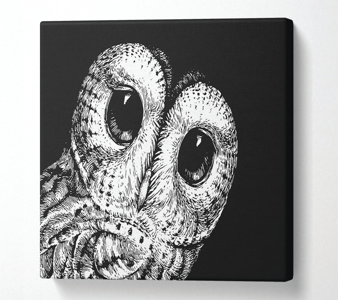  A Canvas Print of The Big Eyed Owl Canvas Art