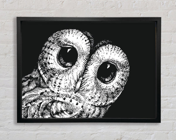 The Big Eyed Owl Framed Print
