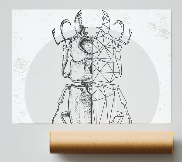The Stag Beetle Sketch Poster