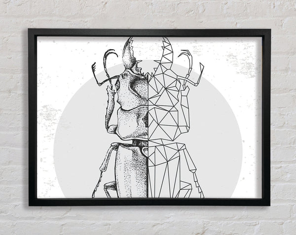 The Stag Beetle Sketch Framed Print