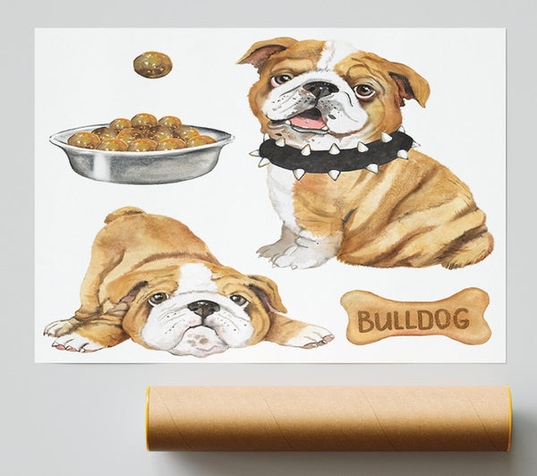 The Bull Dog Pup Print
