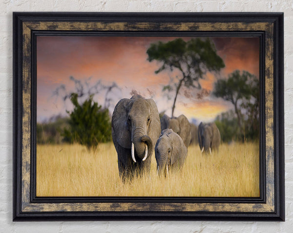 Elephants In Savannah Framed Print