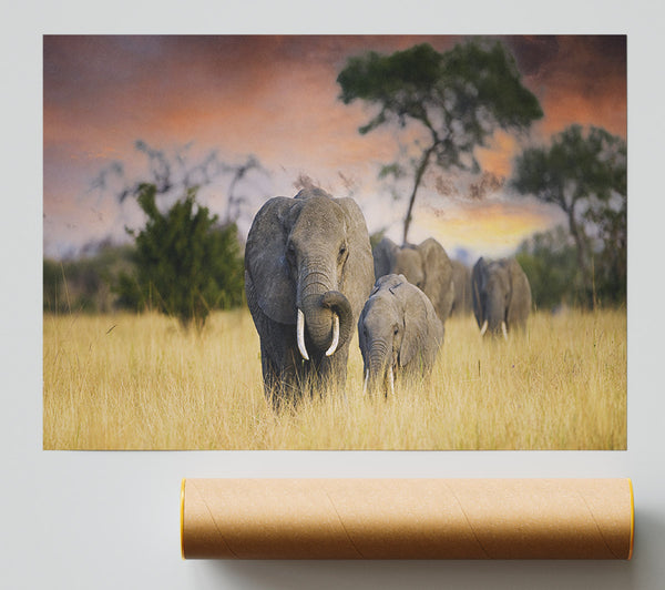 Elephants In Savannah Print