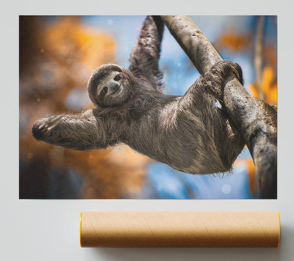 Sloth Hanging From A Tree Poster