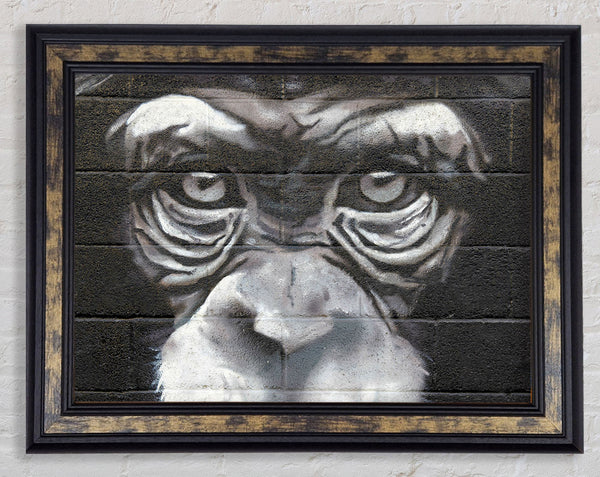 The Chimp Eyes Framed Print