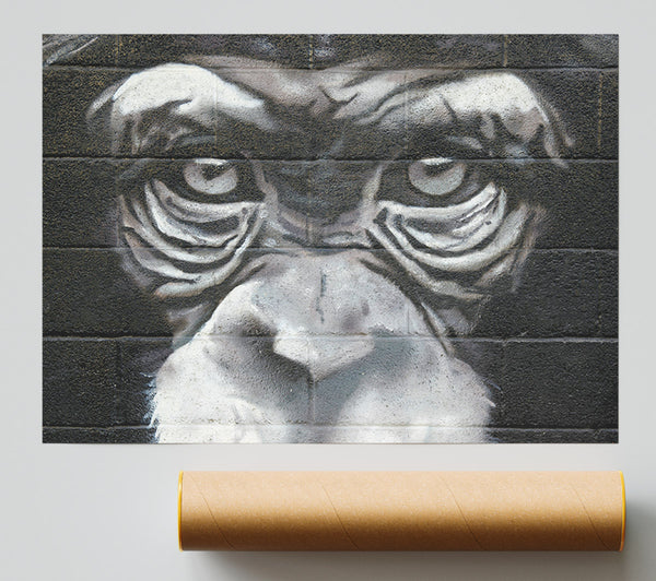 The Chimp Eyes Poster