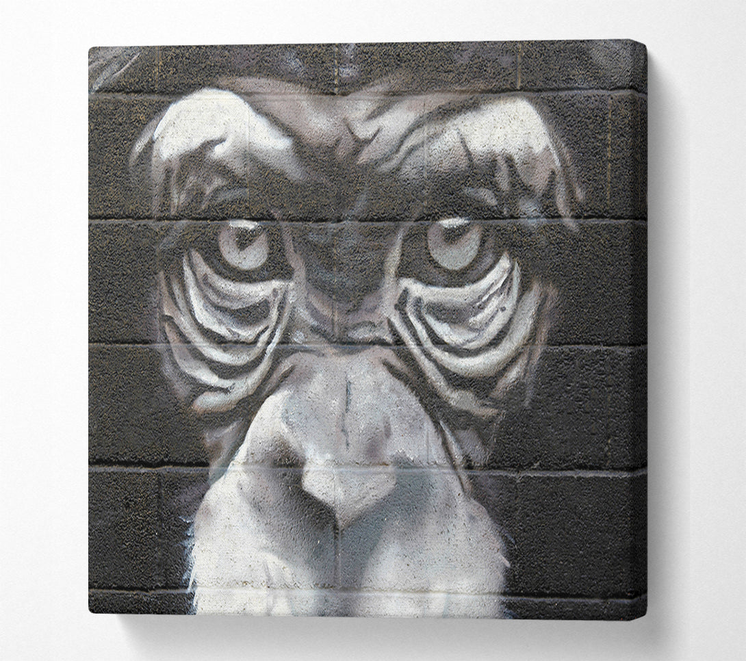 A Canvas Print of The Chimp Eyes Canvas Wall Art