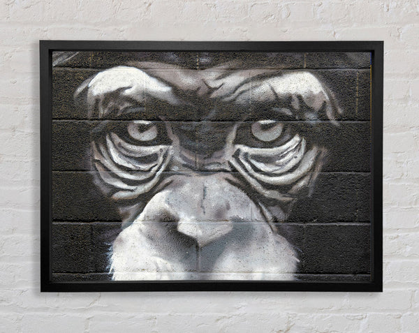 The Chimp Eyes Framed Print