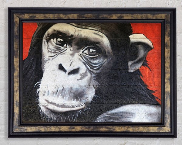 The Chimp On Red Framed Print