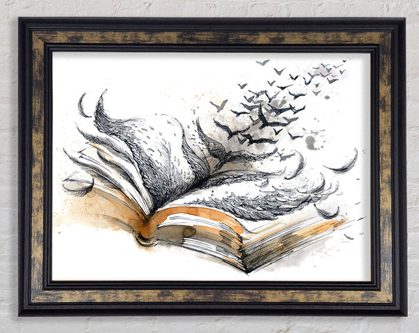 The Book Of Birds Framed Print