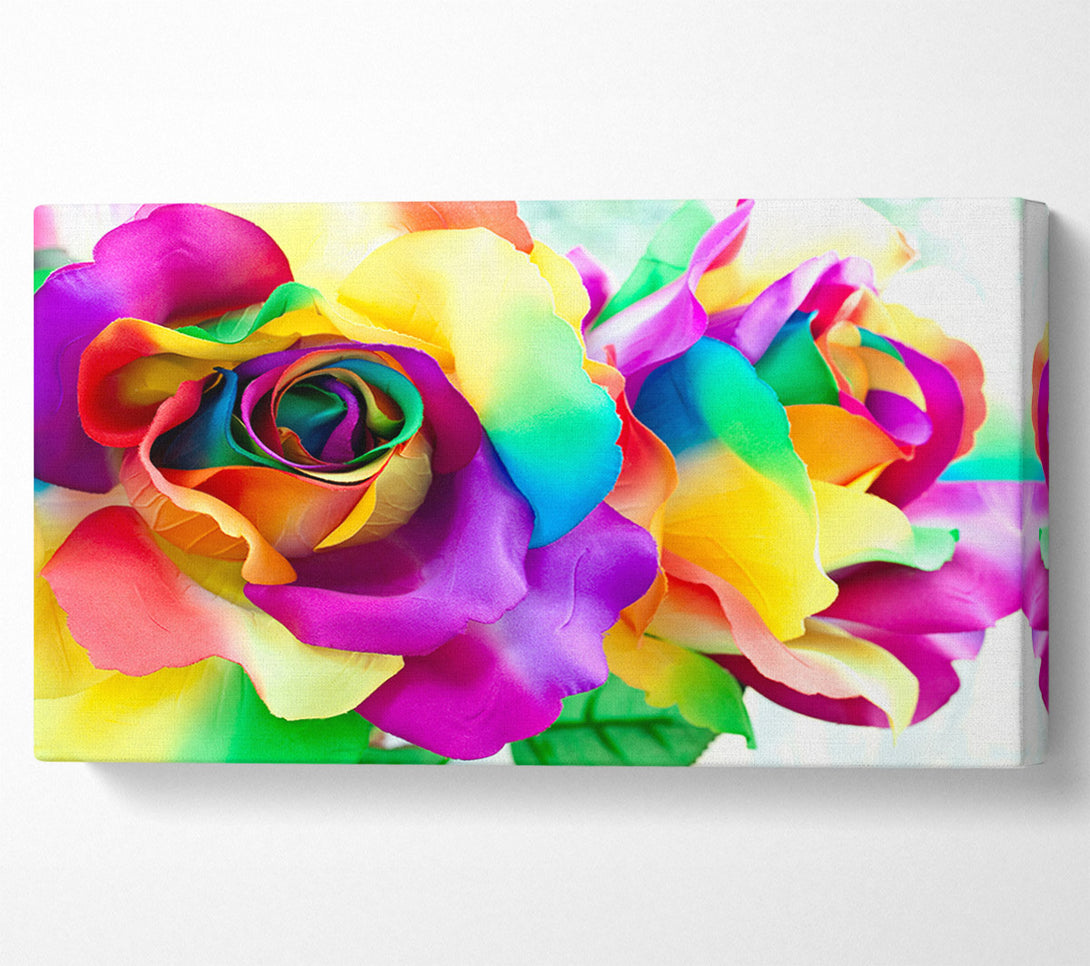  A Canvas Print of Multi Coloured Roses Close Canvas Art