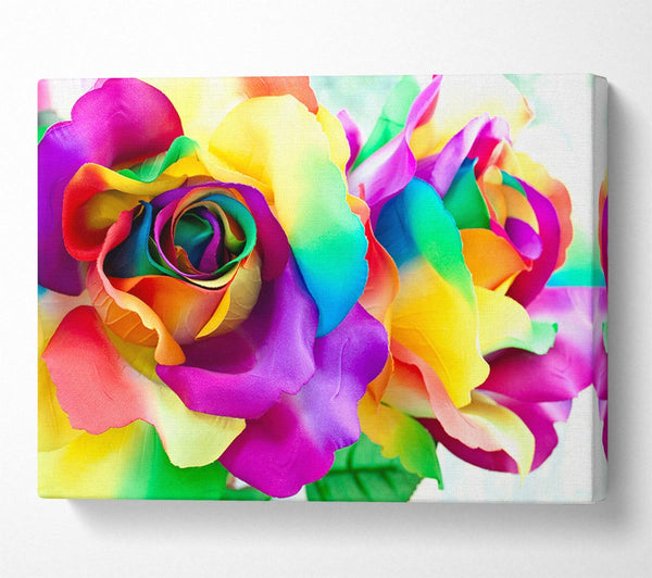  A Canvas Print of Multi Coloured Roses Close Canvas Art