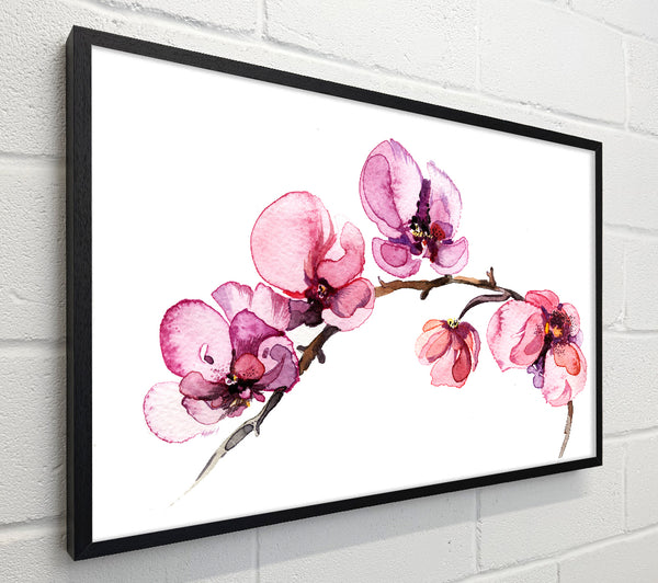 The Pink Orchid Branch Single