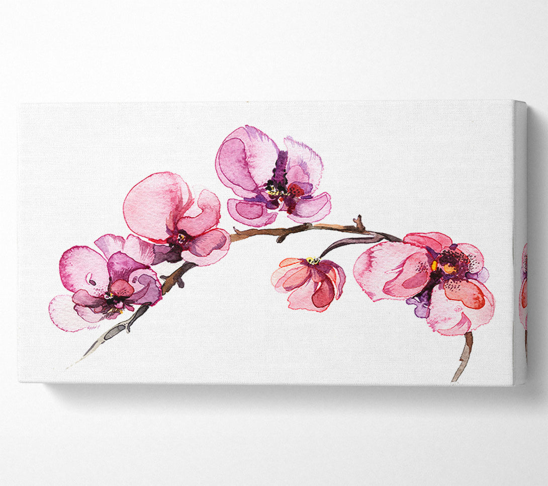  A Canvas Print of The Pink Orchid Branch Single Canvas Print
