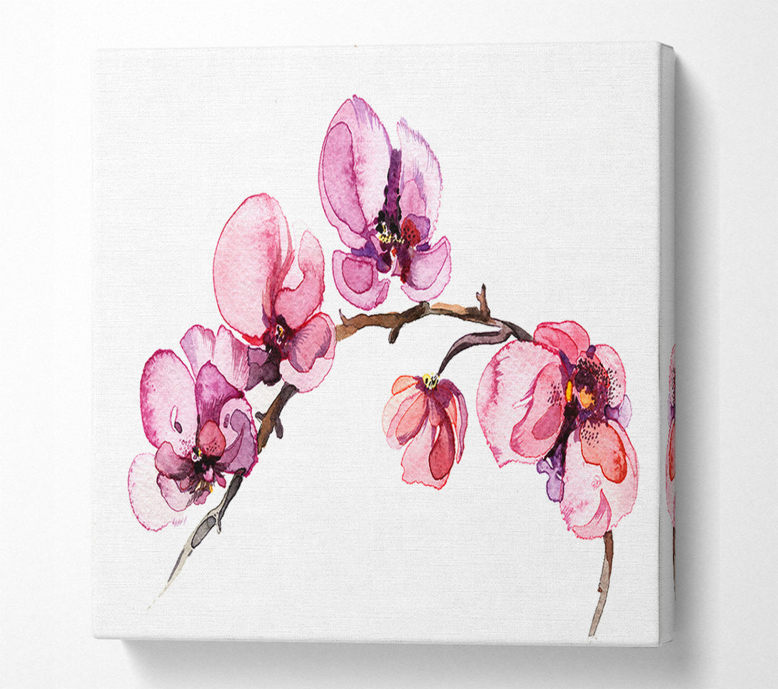  A Canvas Print of The Pink Orchid Branch Single Canvas Print