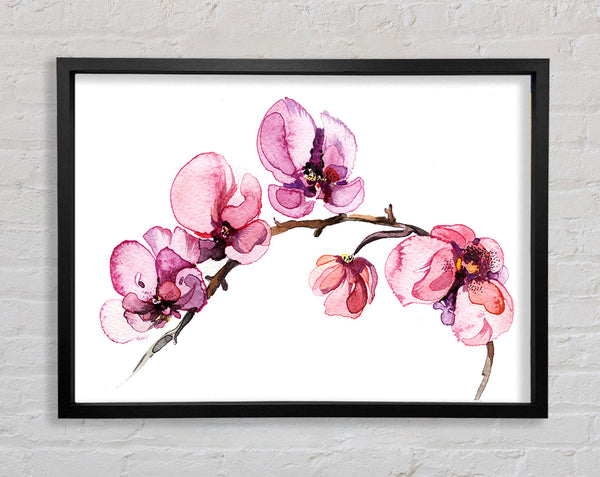 The Pink Orchid Branch Single Framed Print