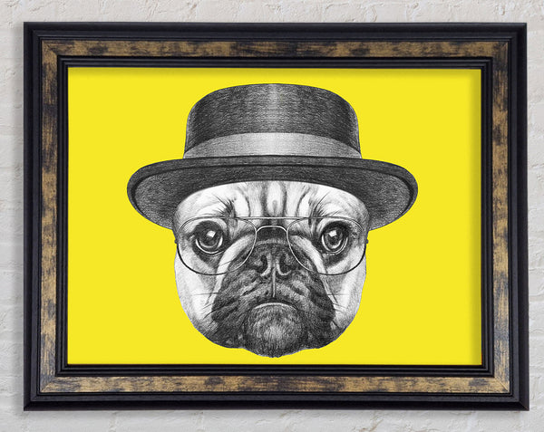 The Pug With A Hat Framed Print