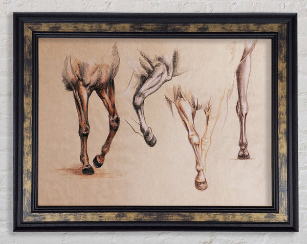 Bottom End Of Horses Framed Print