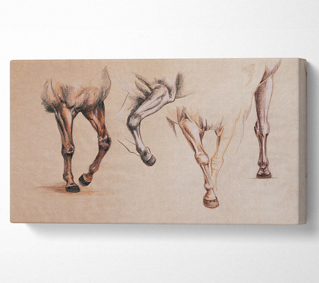  A Canvas Print of Bottom End Of Horses Canvas Wall Art