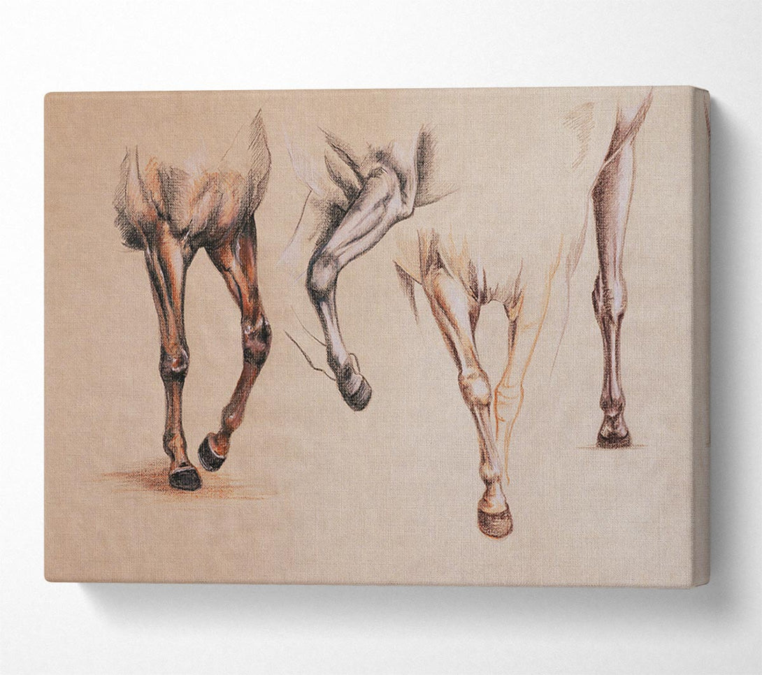  A Canvas Print of Bottom End Of Horses Canvas Wall Art