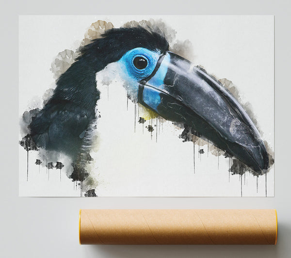 Toucan Watercolour Poster