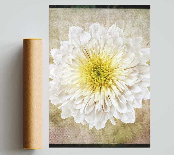Beautiful Yellow Centered Flower Giclee Print