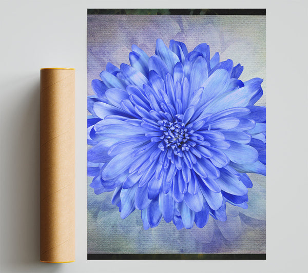 Beautiful Blue Centered Flower Poster