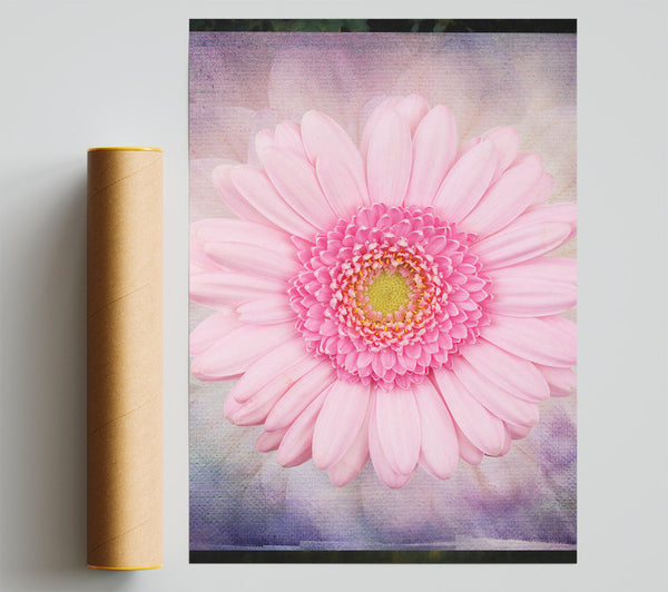 Pink Flower Beauty Print